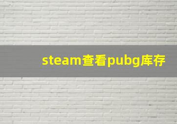 steam查看pubg库存