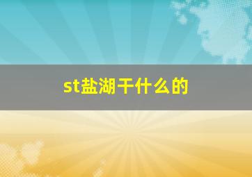 st盐湖干什么的