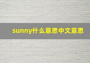 sunny什么意思中文意思