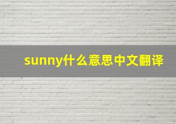 sunny什么意思中文翻译