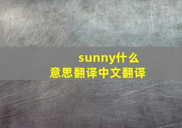 sunny什么意思翻译中文翻译