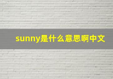 sunny是什么意思啊中文