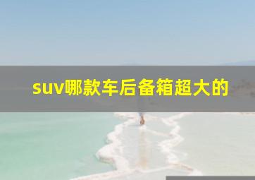 suv哪款车后备箱超大的