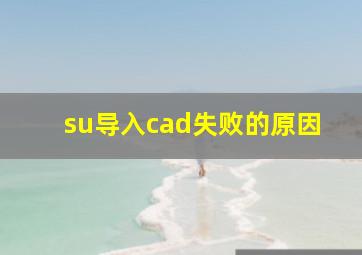 su导入cad失败的原因