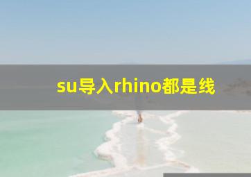 su导入rhino都是线