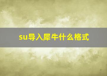 su导入犀牛什么格式