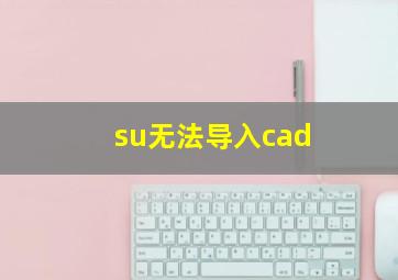 su无法导入cad