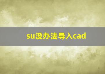 su没办法导入cad