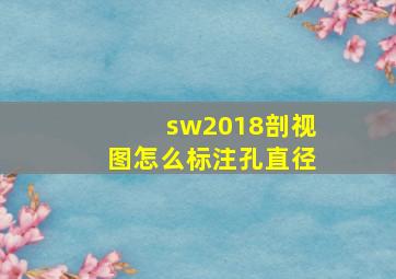 sw2018剖视图怎么标注孔直径