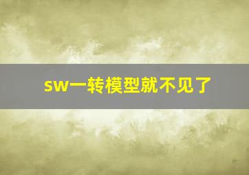 sw一转模型就不见了