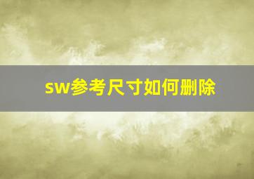 sw参考尺寸如何删除