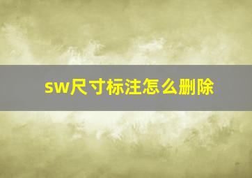 sw尺寸标注怎么删除