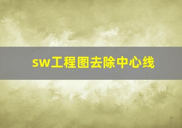 sw工程图去除中心线