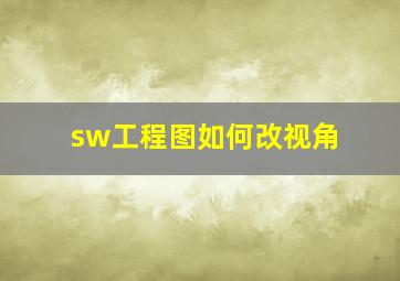 sw工程图如何改视角