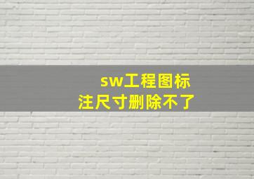 sw工程图标注尺寸删除不了