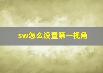 sw怎么设置第一视角