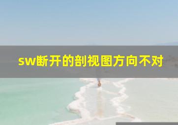 sw断开的剖视图方向不对