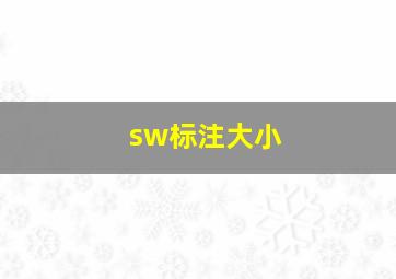 sw标注大小