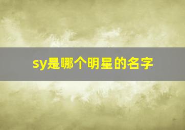 sy是哪个明星的名字