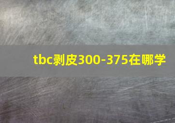 tbc剥皮300-375在哪学