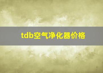 tdb空气净化器价格