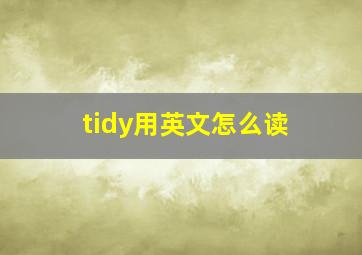 tidy用英文怎么读