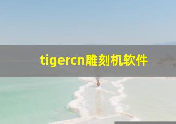 tigercn雕刻机软件