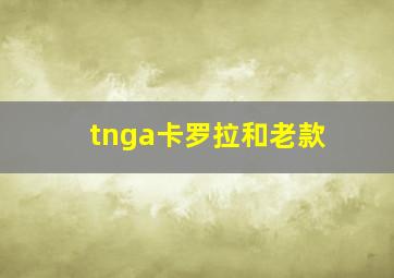 tnga卡罗拉和老款