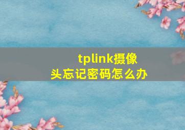 tplink摄像头忘记密码怎么办