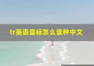 tr英语音标怎么读种中文