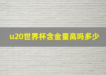 u20世界杯含金量高吗多少