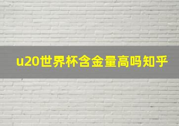 u20世界杯含金量高吗知乎