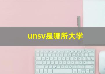 unsv是哪所大学