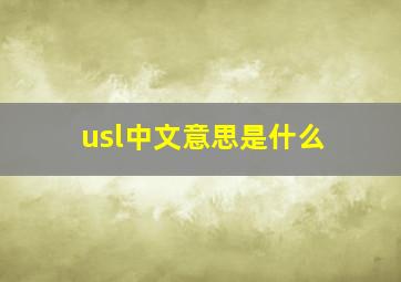 usl中文意思是什么