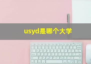 usyd是哪个大学