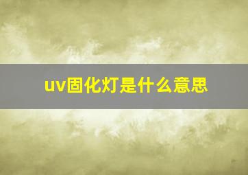 uv固化灯是什么意思