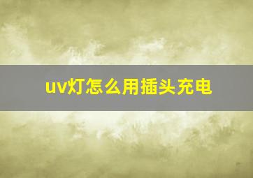 uv灯怎么用插头充电