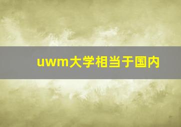 uwm大学相当于国内