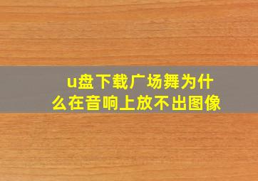 u盘下载广场舞为什么在音响上放不出图像