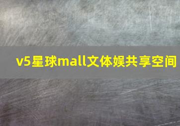 v5星球mall文体娱共享空间