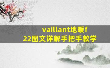 vaillant地暖f22图文详解手把手教学