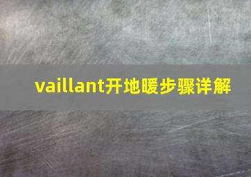 vaillant开地暖步骤详解