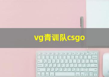 vg青训队csgo