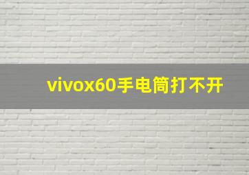 vivox60手电筒打不开