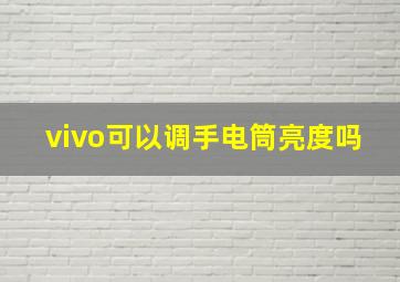 vivo可以调手电筒亮度吗