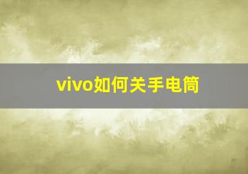 vivo如何关手电筒