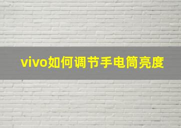 vivo如何调节手电筒亮度