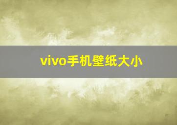 vivo手机壁纸大小