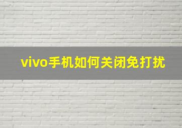 vivo手机如何关闭免打扰