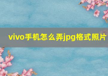 vivo手机怎么弄jpg格式照片